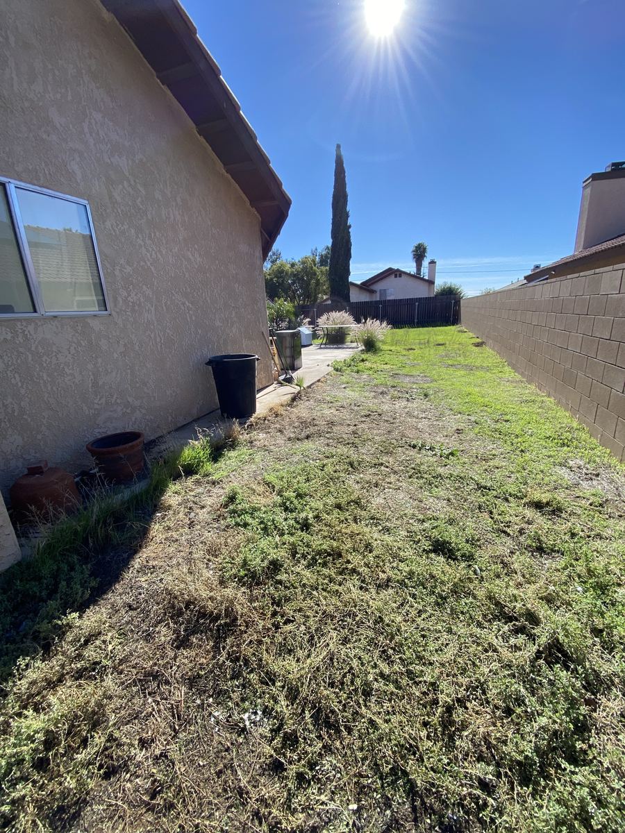 The same side yard cleared and cleaned up